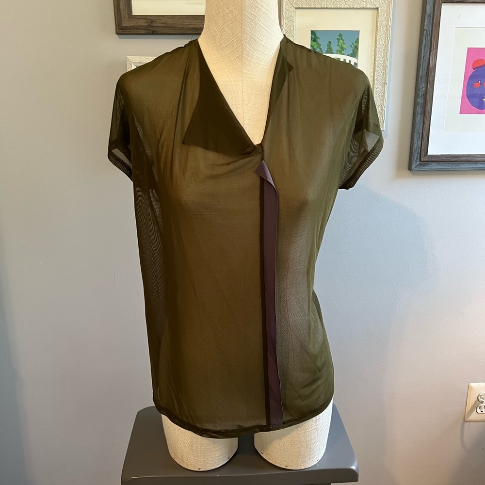 Sheer Top